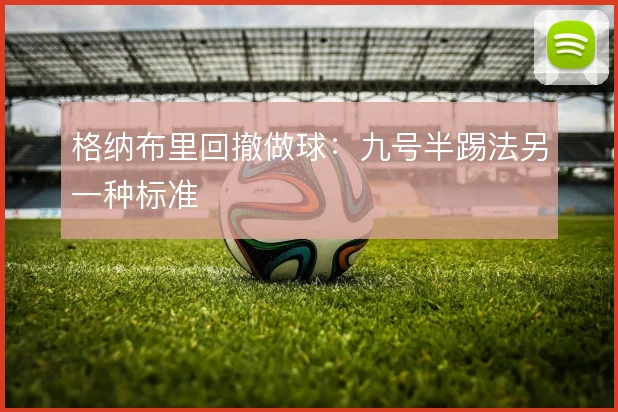 格纳布里回撤做球：九号半踢法另一种标准